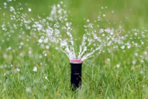 Sprinkler System Upgrades in Maryland 12